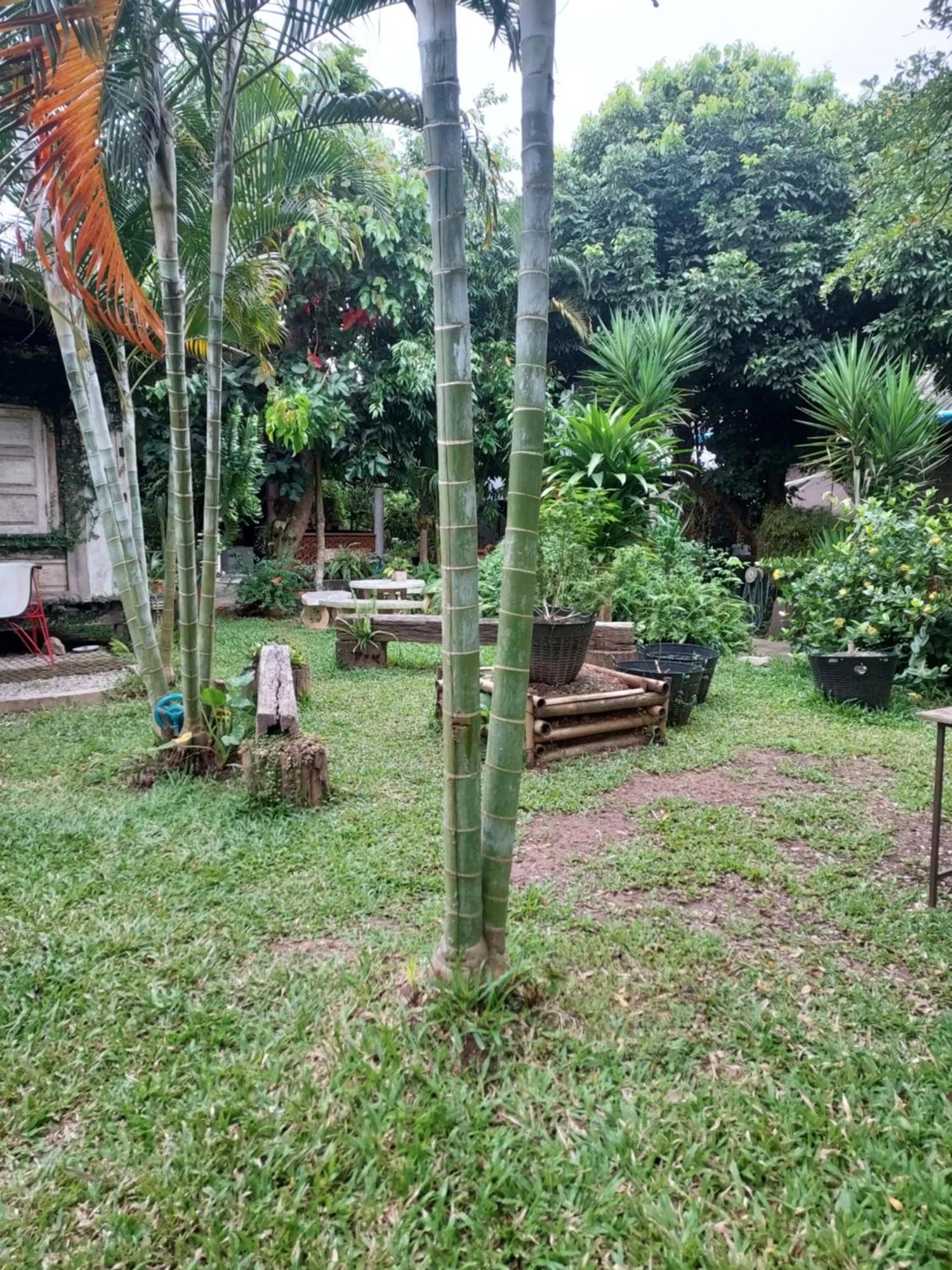 Kwanlah Homestay Mae Chaem Extérieur photo