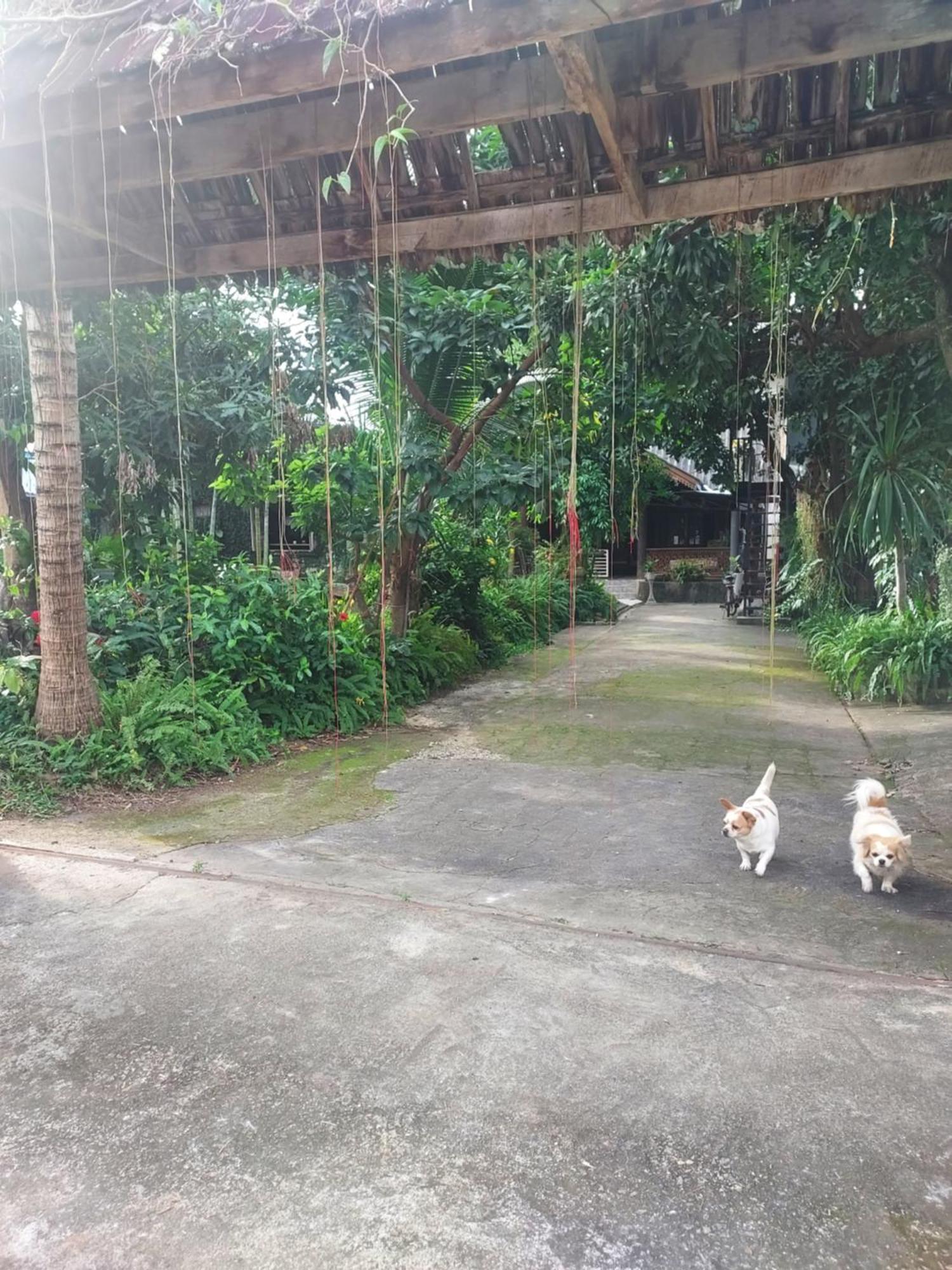 Kwanlah Homestay Mae Chaem Extérieur photo